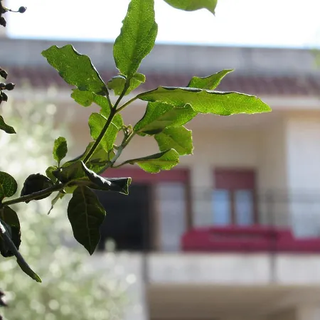 Prázdninový dům Casa Il Giovane Alloro