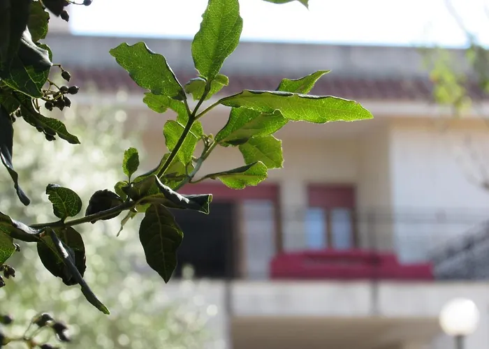 Semesterbostad Casa Il Giovane Alloro